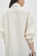 Avenue Shirt in Clay